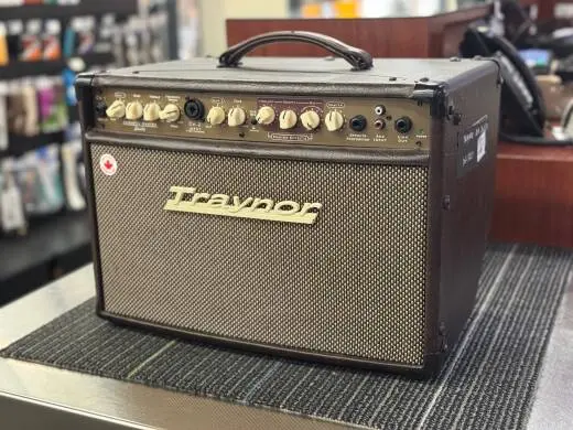 Store Special Product - Traynor - AMSTUDIO